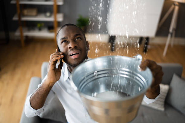 Best Ceiling water damage repair  in Tuckerman, AR