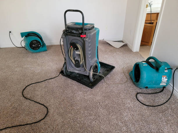 Local water damage restoration in AR