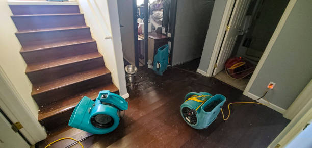 Best Flood restoration services  in Tuckerman, AR