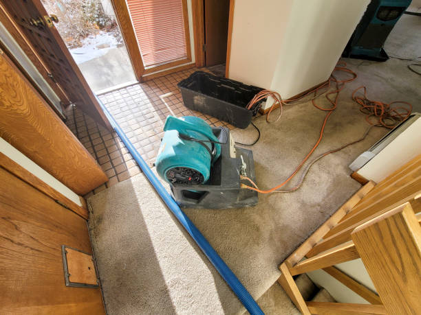  Tuckerman, AR Water damage restoration Pros