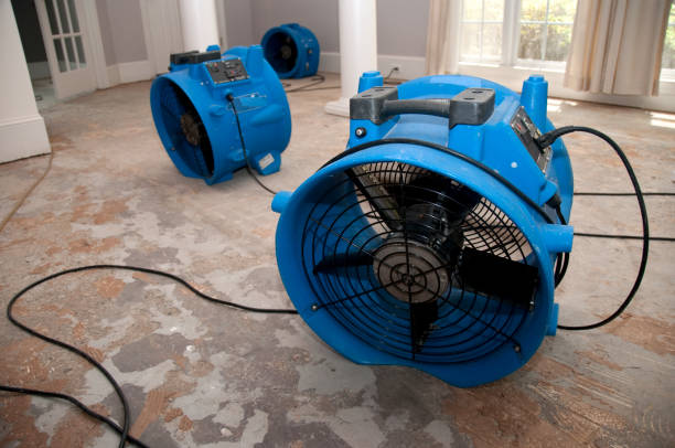 Reliable AR Water damage restoration Solutions