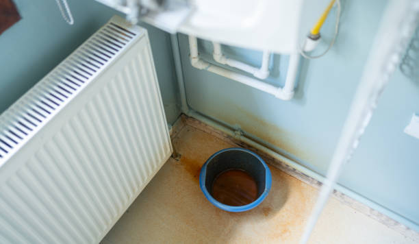 Best Water damage restoration mold remediation  in Tuckerman, AR