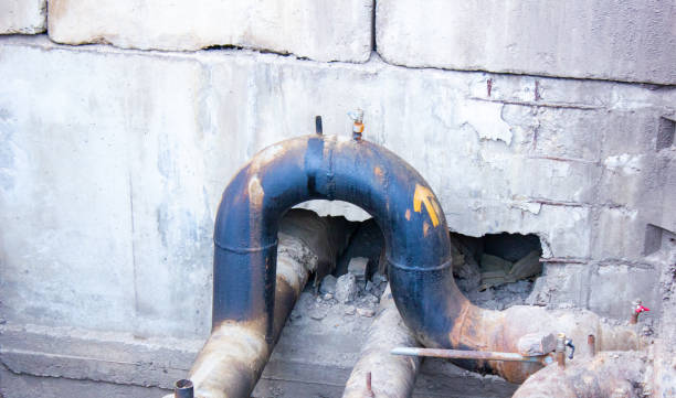 Best Local water damage restoration  in Tuckerman, AR