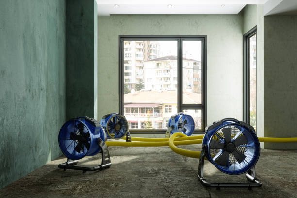 Best Basement water damage restoration  in Tuckerman, AR
